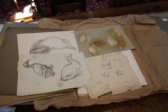 William Shackleton (1872-1933) Figure studies, early drawings, drapery and farm animals, Largest 22 x 15in. unframed.